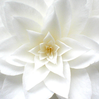 NHR homepage image 4