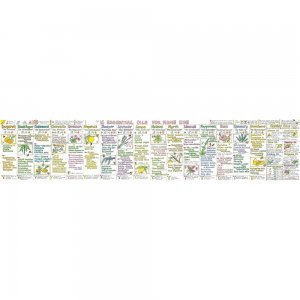 Essential Oils for Home Use Chart