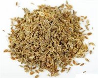 *NEW* Organic Celery Seed Essential Oil (Apium graveolens)